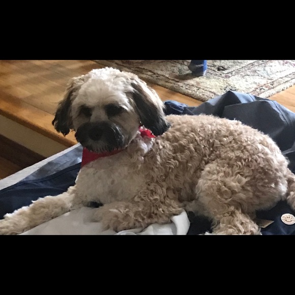 Meet your Posher, Donna - Picture 3 of 7